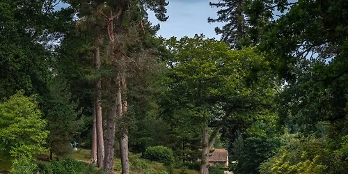 Photography Workshop: Artistic Composition