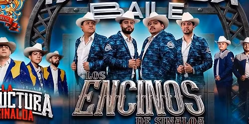 LOS ENCINOS DE SINALOA, LA ESTRUCTURA DE SINALOA & MAS