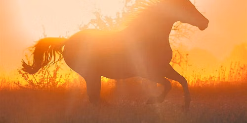 Year of the Horse: Reignite Your Flame