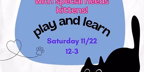 Meowsgiving Meet & Greet + Adoption Event (Meow City - Cary)