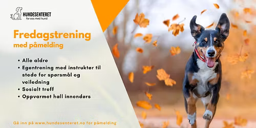 Fredagstrening (ledige plasser)