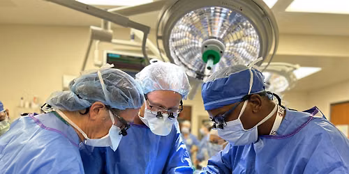 Precision Management of the Deceased Organ Donor