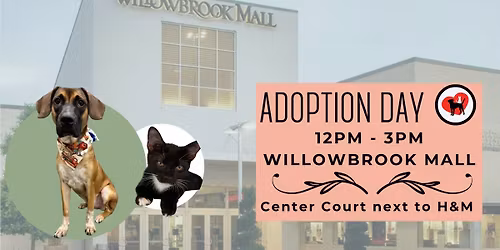 Adoption Day at Willowbrook Mall