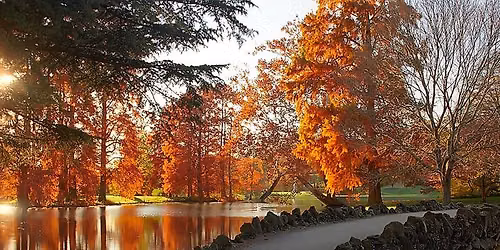 Fall Walking Tour 