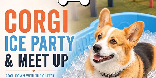 Corgi Meet Up + Ice Party at Dog Bar Sarasota