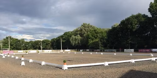  Stressless Dressage, inc TB 2ND ROUNDS