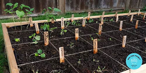 Garden Orientation and Layout Planning [Free Workshop]