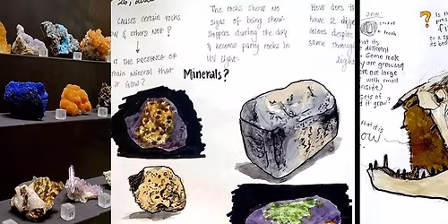 Nature Journal at the UW Geology Museum: sketch, write, wonder