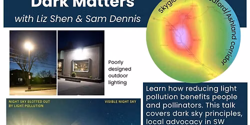 Dark Matters