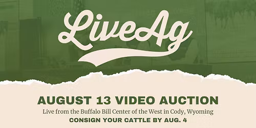 LiveAg Video Auction | August 13 | Cody, Wyoming