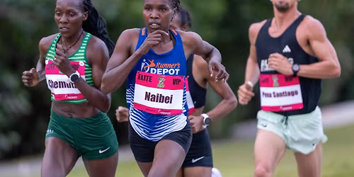 12th Annual Flanigan's Rockin' Rib Run 10K