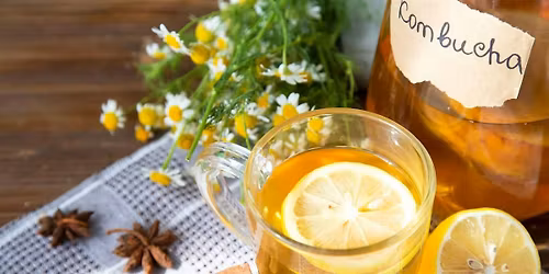 Fermentation 101: Kombucha