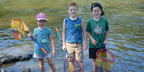 Twigs to Trees: Pond Exploration