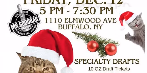 Beer For Cats