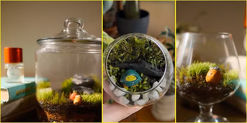 Live Moss Terrarium Workshop