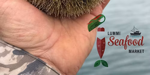 LSM @BellinghamDockside