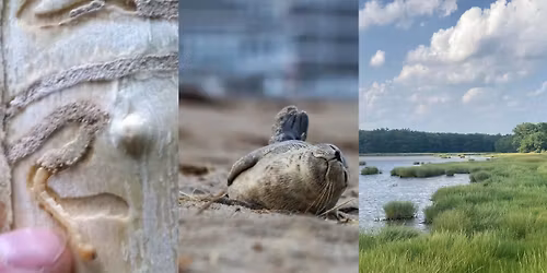 Bayview Lectures-Theme: What's Happening With...?