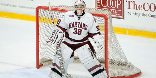 Harvard Crimson Women's Hockey vs. Dartmouth Big Green