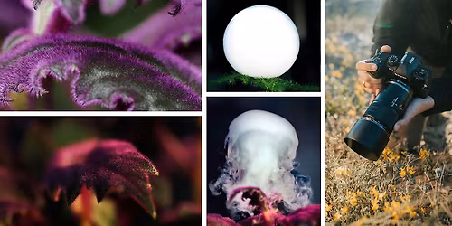 Wex Sessions: Milton Keynes In-Store Macro Photography Day with OM System