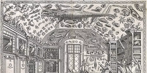 Launch of Curious Things