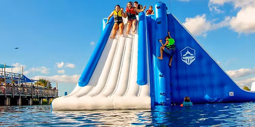 Parking Bear vs. Shark