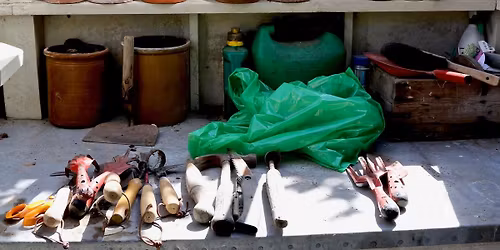 Monthly meeting with Zane Andres & Alicia Kitching