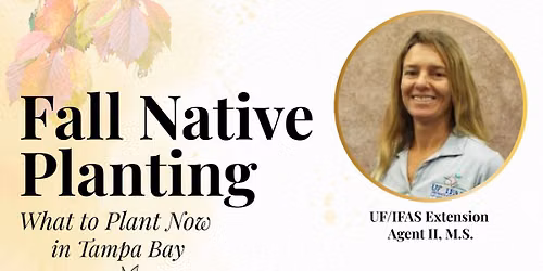 Fall Native Planting - What to plant now in Tampa Bay