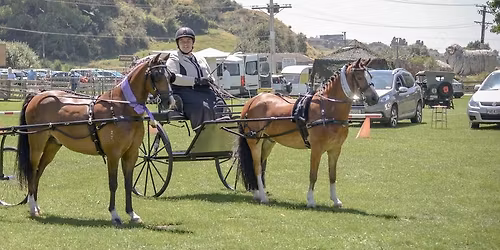 Royal Stratford A&P Show - Carriage Driving Classes 