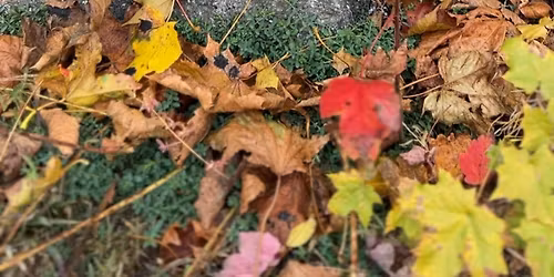 Woodburn Your Own Holiday Wreath and Ornament!