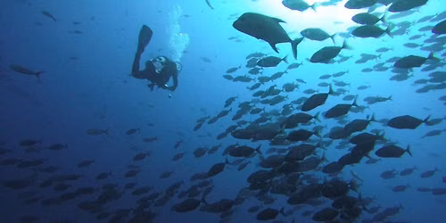 Stone Creek Scuba Interest Group