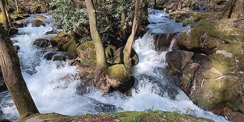 VISITA AO RIO LE\u00c7A - 26 de abril de 2026