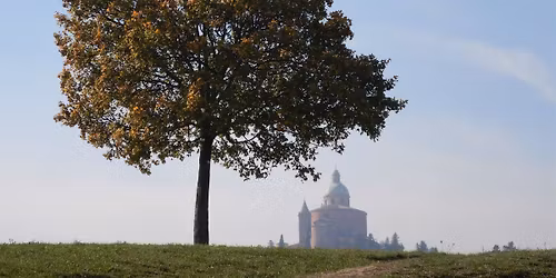 Oltre le cime degli alberi