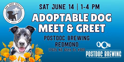 Adoptable Dog Meet & Greet at Postdoc Brewing Redmond