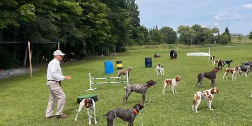 Phase 2: Building A Bird Dog (intermediate workshop)