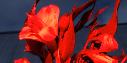 Asahi Night Garden | Dark Mofo 2026