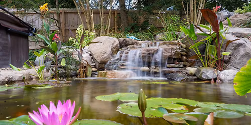 How to Build a Backyard Pond (Free Class!)