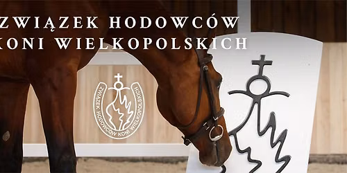 Krajowy Czempionat Koni Rasy Wielkopolskiej oraz Regionalny Czempionat koni Rasy Polski Ko\u0144 Sportowy
