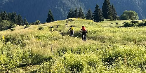 \u0420\u043e\u0434\u043e\u043f\u0441\u043a\u0430 \u0418\u0434\u0438\u043b\u0438\u044f