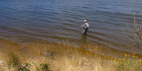 Hopkins River - Competition 7