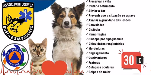 CURSO PRIMEIROS SOCORROS A ANIMAIS - MATOSINHOS
