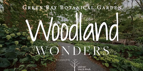 Woodland Wonders