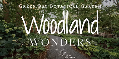 Woodland Wonders