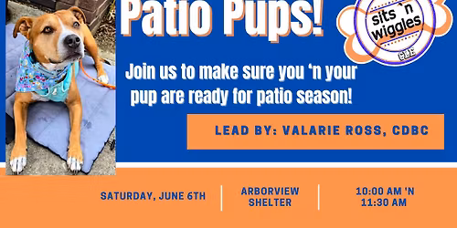 Patio Pups: Ensuring Happy and Low Stress Patio Visits