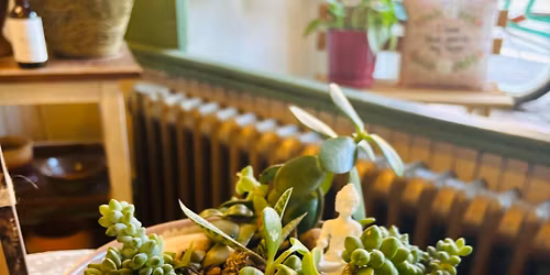 Steeped in Succulents (succulent bowl\/terrarium workshop)
