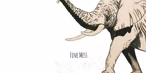 Fine Mess