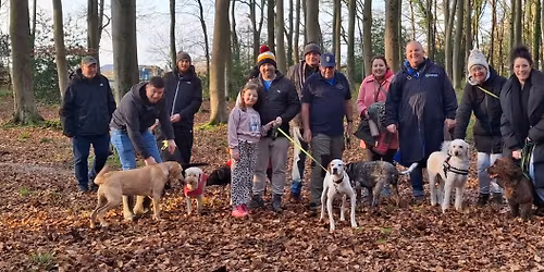 Walkies With Hoomans