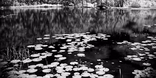 Lecture on B&W Photography  Techniques