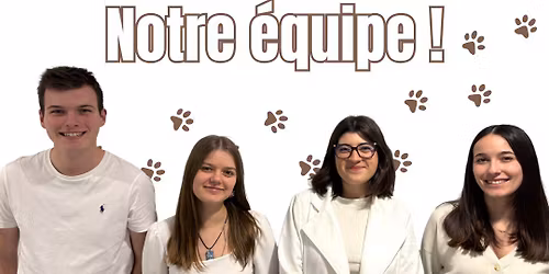 Dog Event