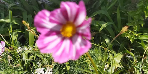 Summer Solstice and 30th Healing anniversary