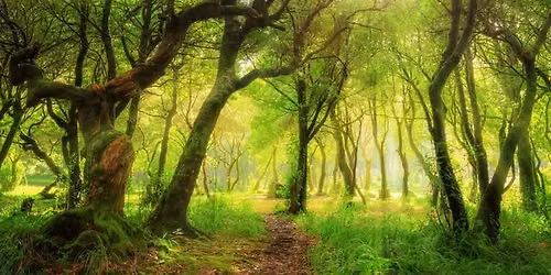 Systemic Family Constellations